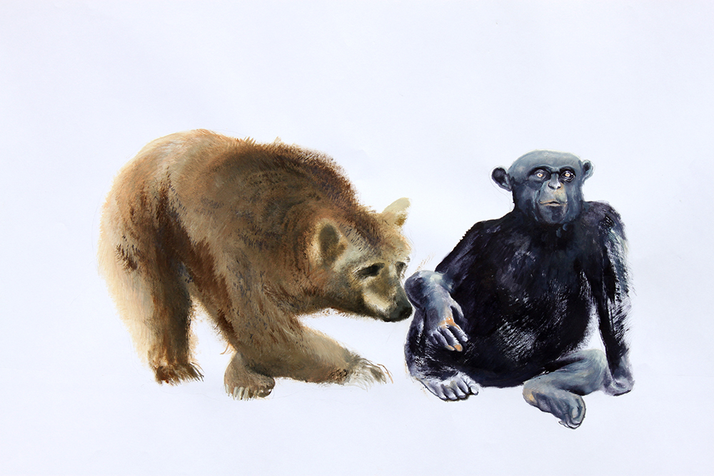 Bear and Chimp_2009_70x50cm_oil on paper