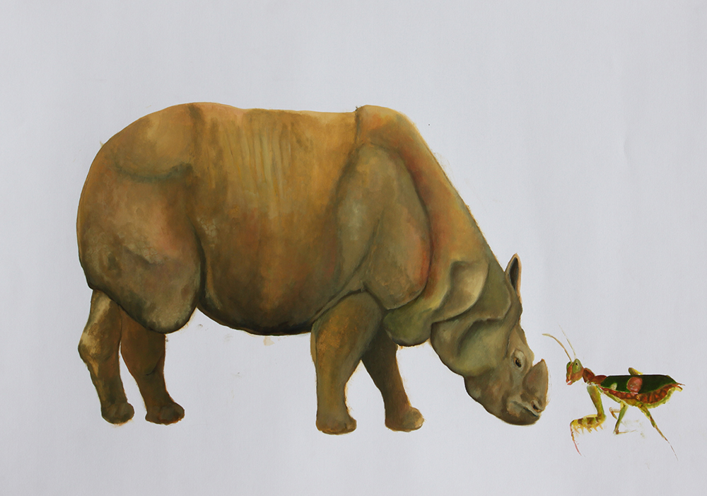 Rhino and Mantis_2009_70x50cm_oil on paper